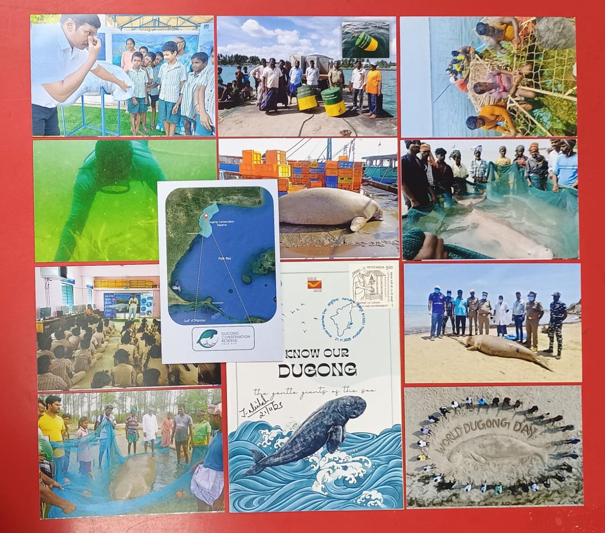 pmgtrichy's tweet photo. Aavuliya, a special philatelic offering from Central Region, Tamilnadu Circle, dedicated to India’s conservation efforts for the Dugong — our gentle, vulnerable marine mammal. Featuring 11 exclusive picture postcards, an informative pamphlet &amp; theme-based cancellations, https://t.co/Gelrj65ymg