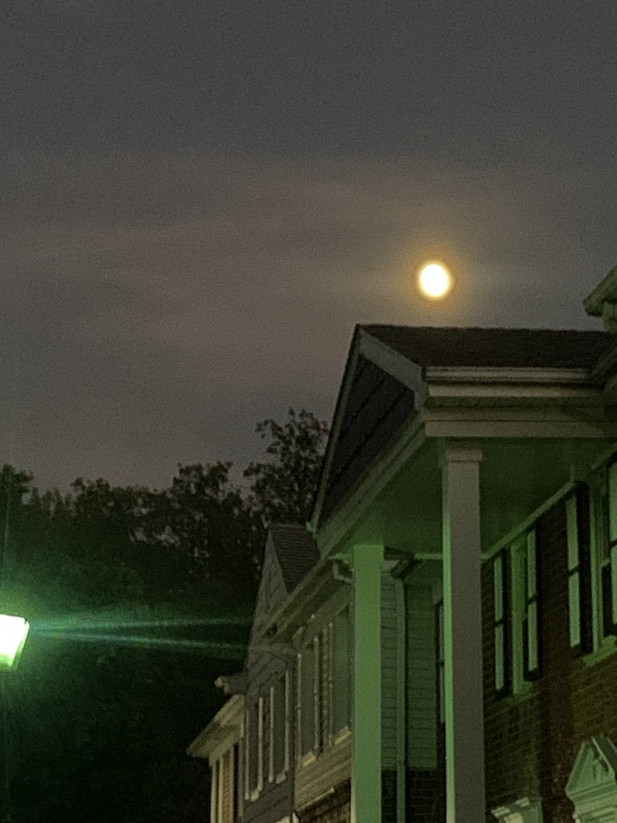 tamadhito's tweet image. over northern thresholds–sweet release

#WriteMap