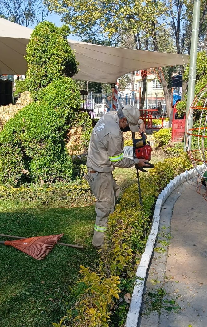 #BuenosDías☀️

Hoy brindamos mantenimiento a las áreas verdes del Parque del Obrero, cuidando cada rincón para que las familias puedan convivir en un entorno limpio y seguro.🌿🌳

#ServiciosUrbanos 
#ParquesYJardines 
#VCCercaDeSuGente
