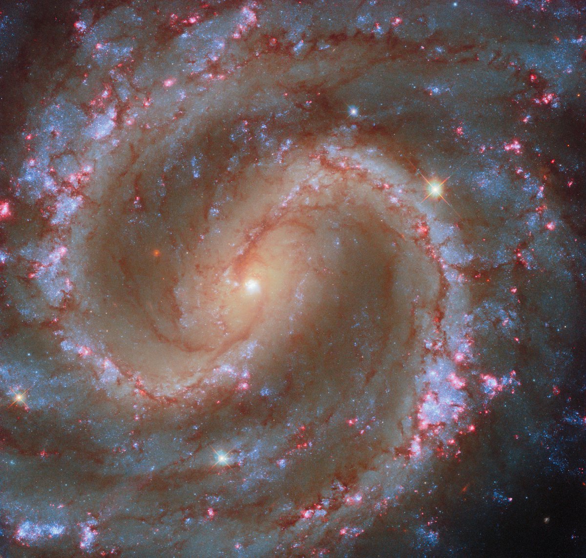 Lost and found 🔭

NGC 4535 is nicknamed the Lost Galaxy due to how faint it appears in a small telescope. But with Hubble's power, the galaxy's spiral arms are on full display!

Learn more about this new view: go.nasa.gov/3XFQLZ1