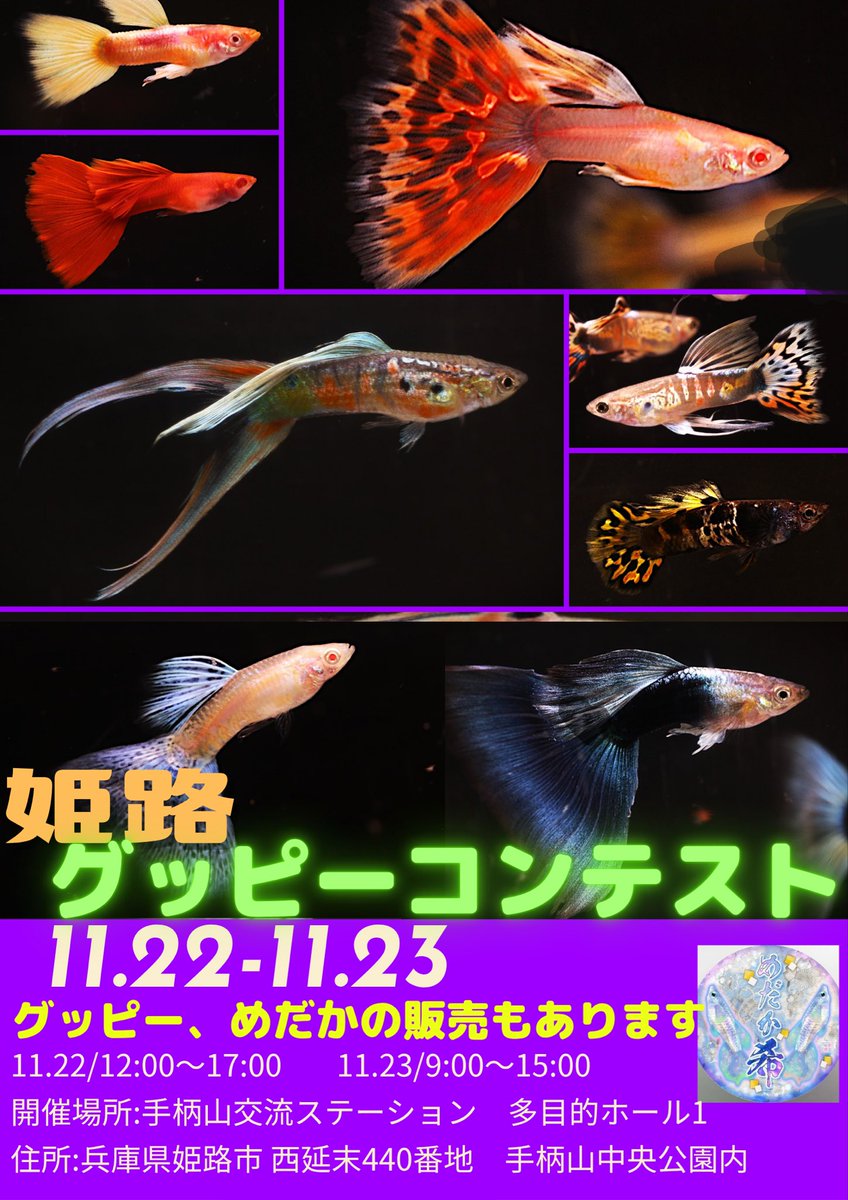 えいちゃん Cktg Lmht【1bmw.org】RXY