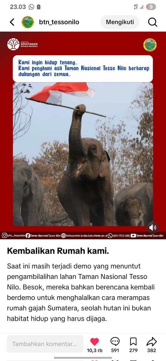 YuyunKuratu's tweet photo. #saveTNTN #saveTesonilo @aniesbaswedan @susipudjiastuti @damkar_RI @KemensetnegRI @radityadika @pandji @bintangemon  tolong bantu up berita ini🙏 tolong selamatkan taman nasional tesonilo rumah gajah" disana https://t.co/eSeiVIPNGX