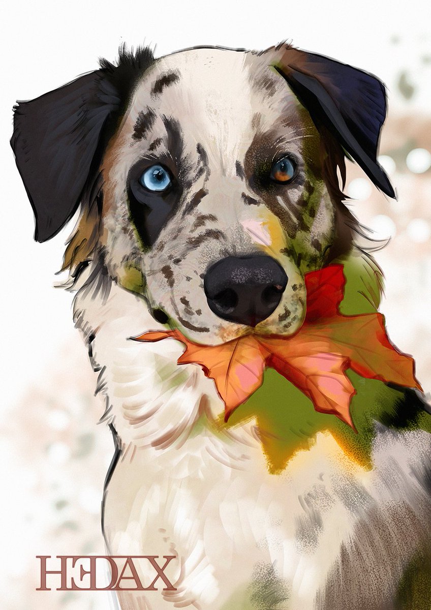 Hedax art tweet media