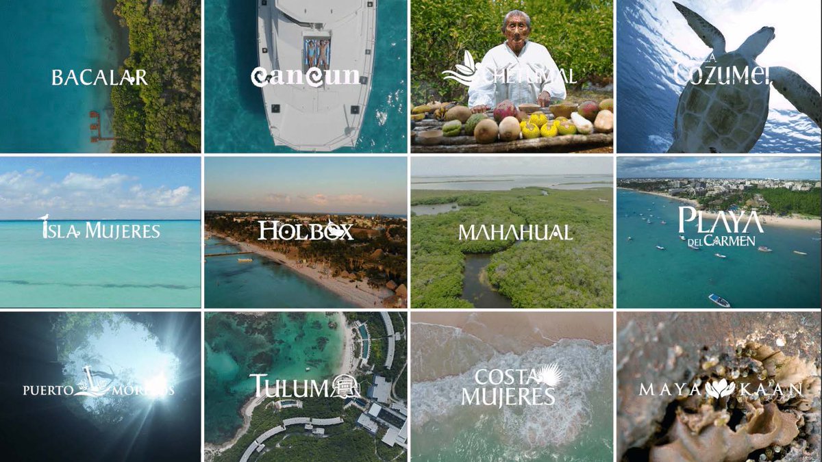 Bita Milanian tweet media