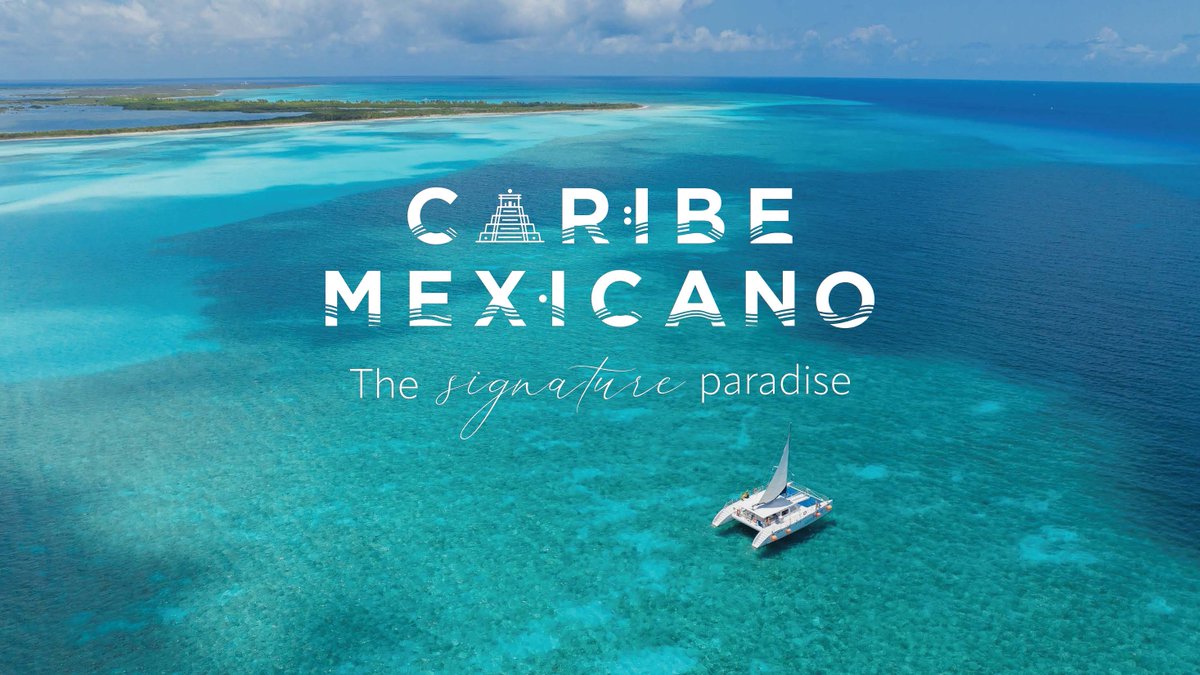 Bita Milanian tweet media