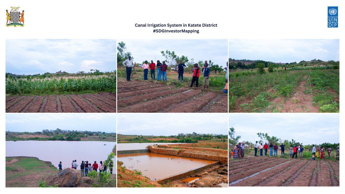 UNDPZambia's tweet photo. In Katete District, we joined the local authority on sites visits to the soon-to-be fruit factory, a citrus farm &amp; irrigation sites supporting farming cooperatives.
These insights will shape #SDGInvestorMaps with support from UNDP Zambia to guide future investment &amp; local growth. https://t.co/zcpsbxeHPo