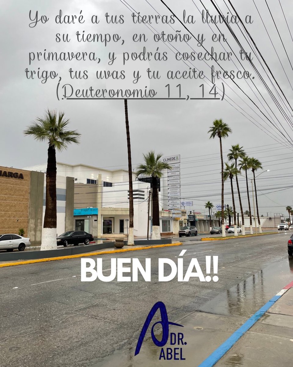 Ánimo. Buen día!😃