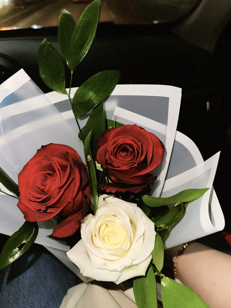 bashebashee's tweet image. آبان🍂