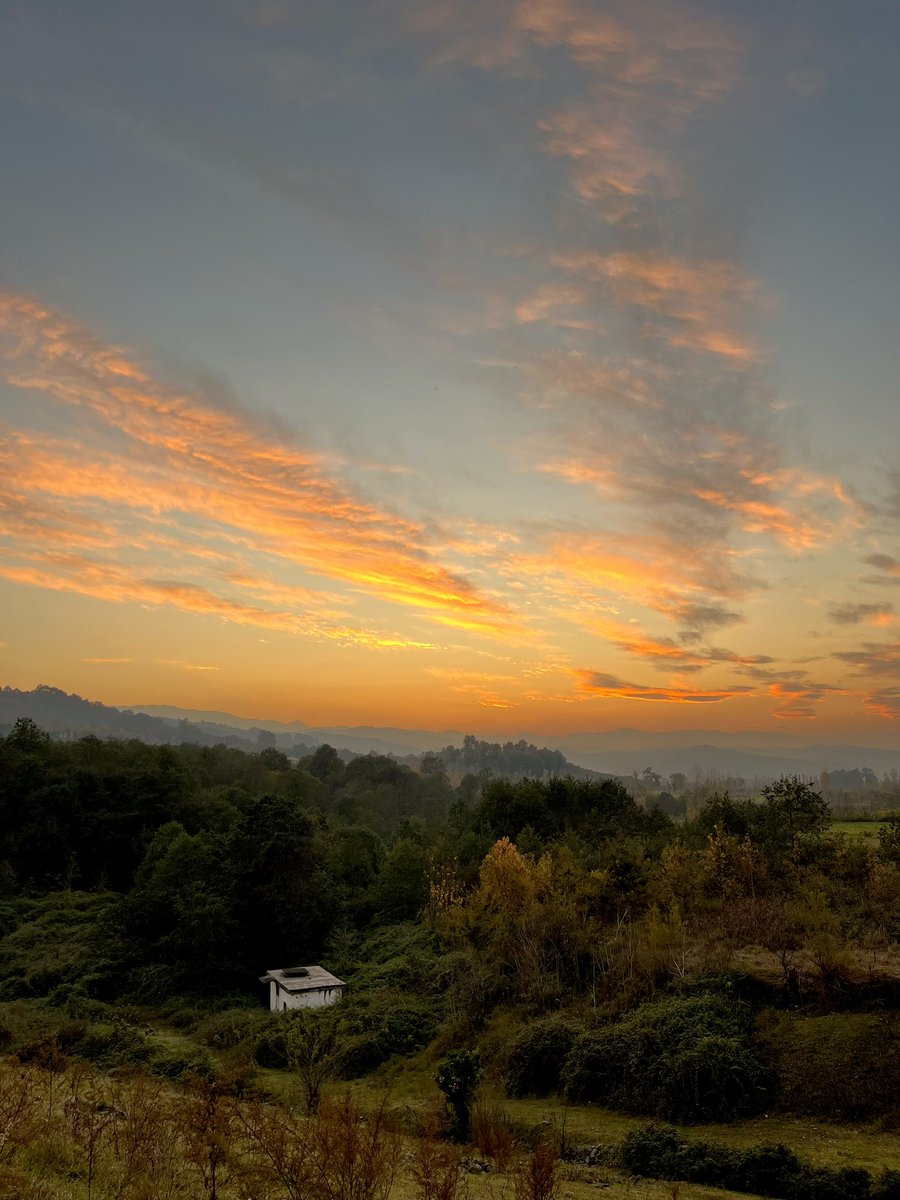 bashebashee's tweet image. آبان🍂