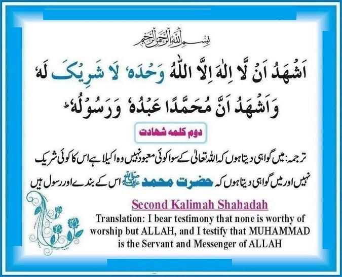 Diya 🪔 tweet media