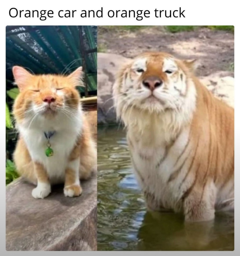 catshealdeprsn's tweet image. 