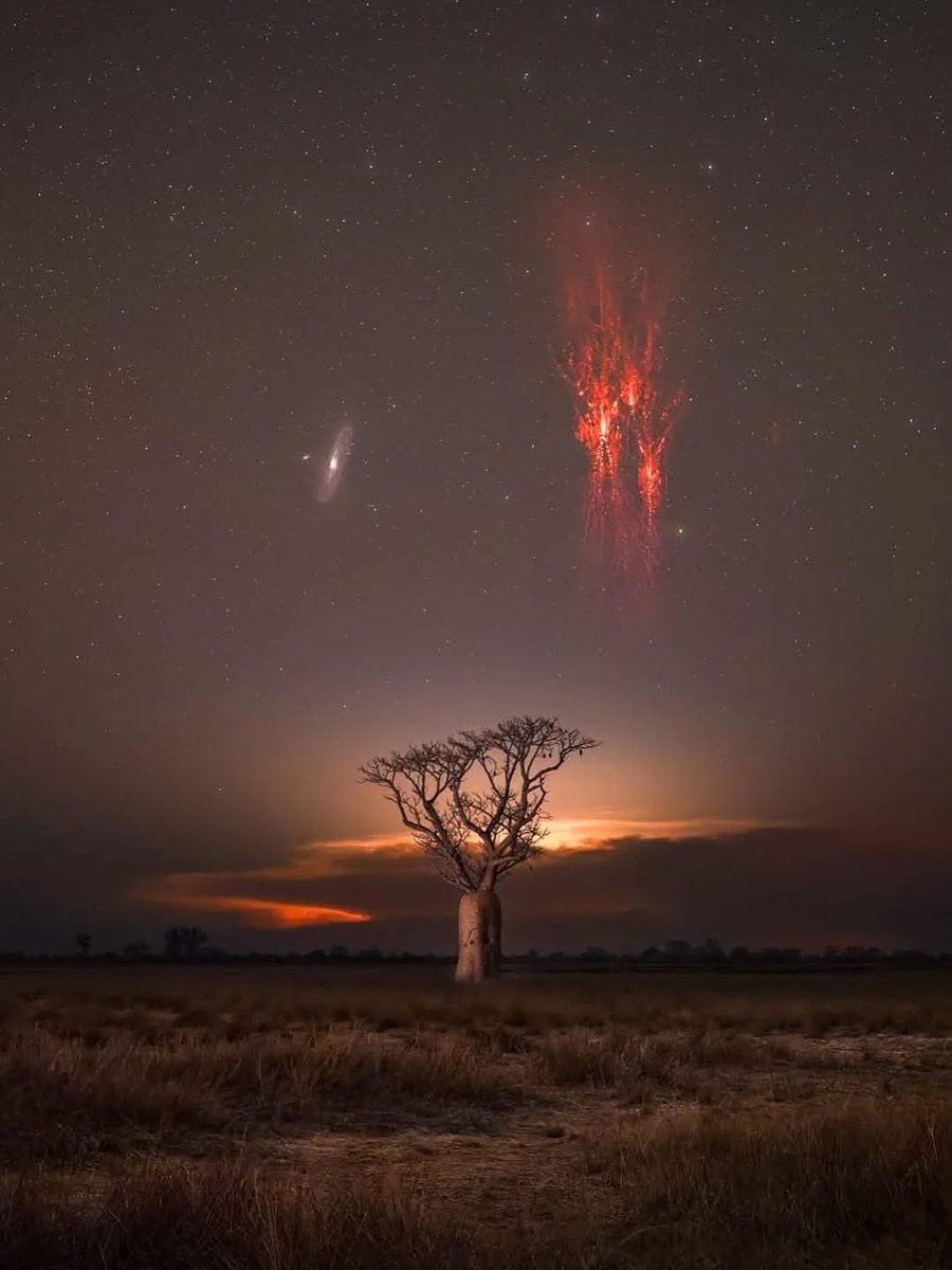 NightSkyToday's tweet image. 🚨: Photographer captures Andromeda galaxy and red sprites in one frame😮

📷: ig/nature.by.jj