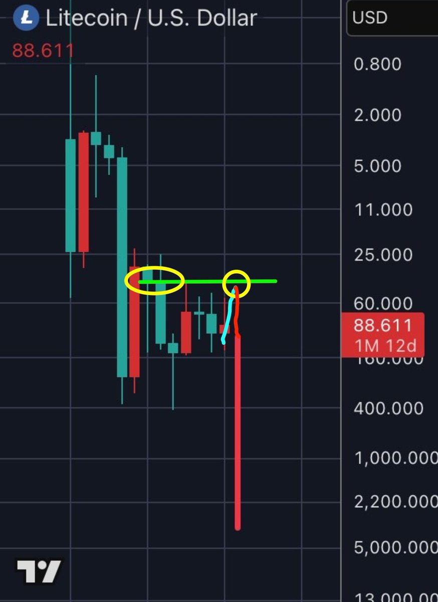 CryptoRell Ⓜ️🕸️ tweet media