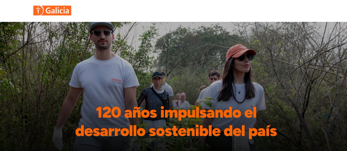 Hora 15 tweet media