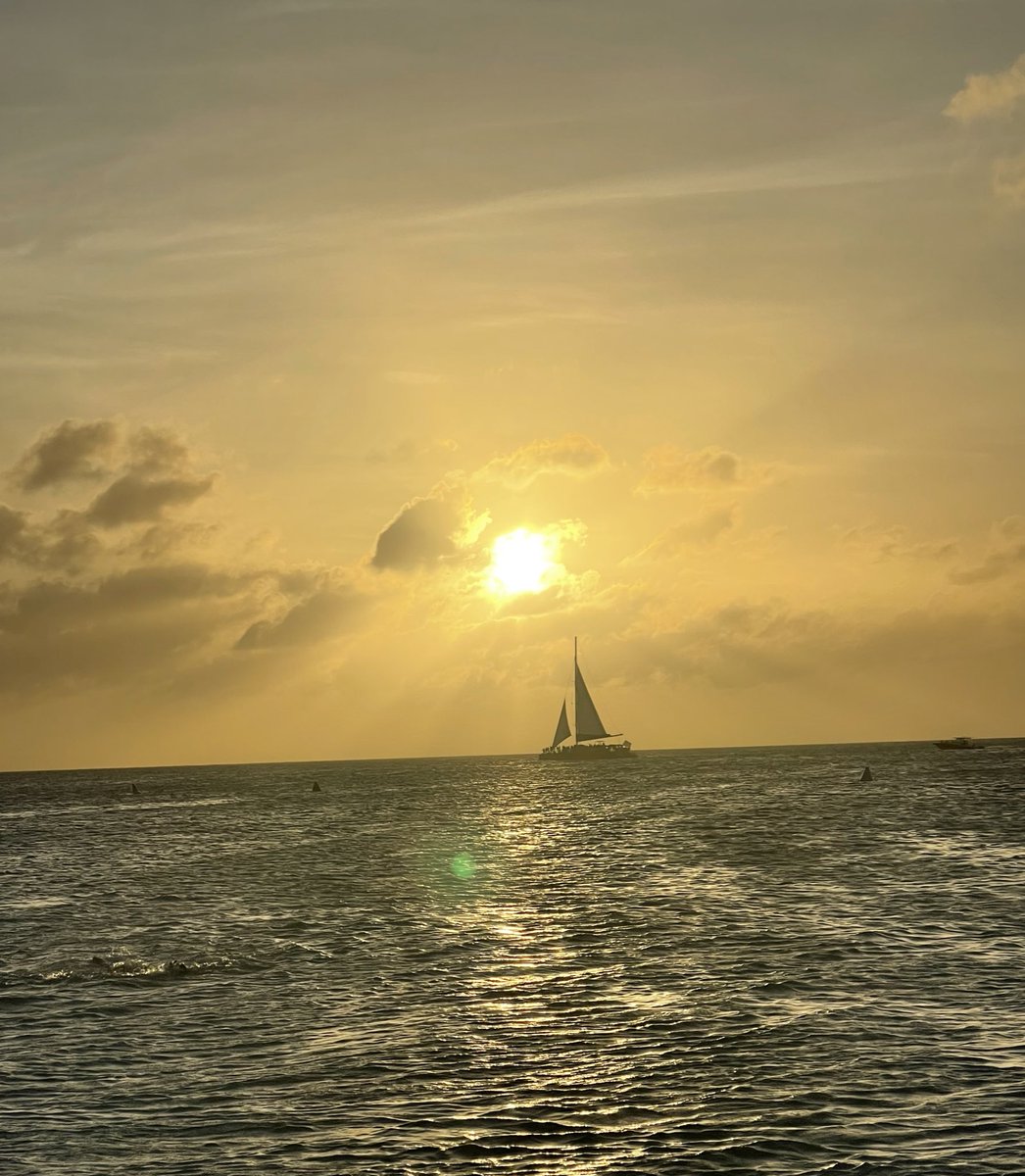 _charlesmaxwell's tweet image. water