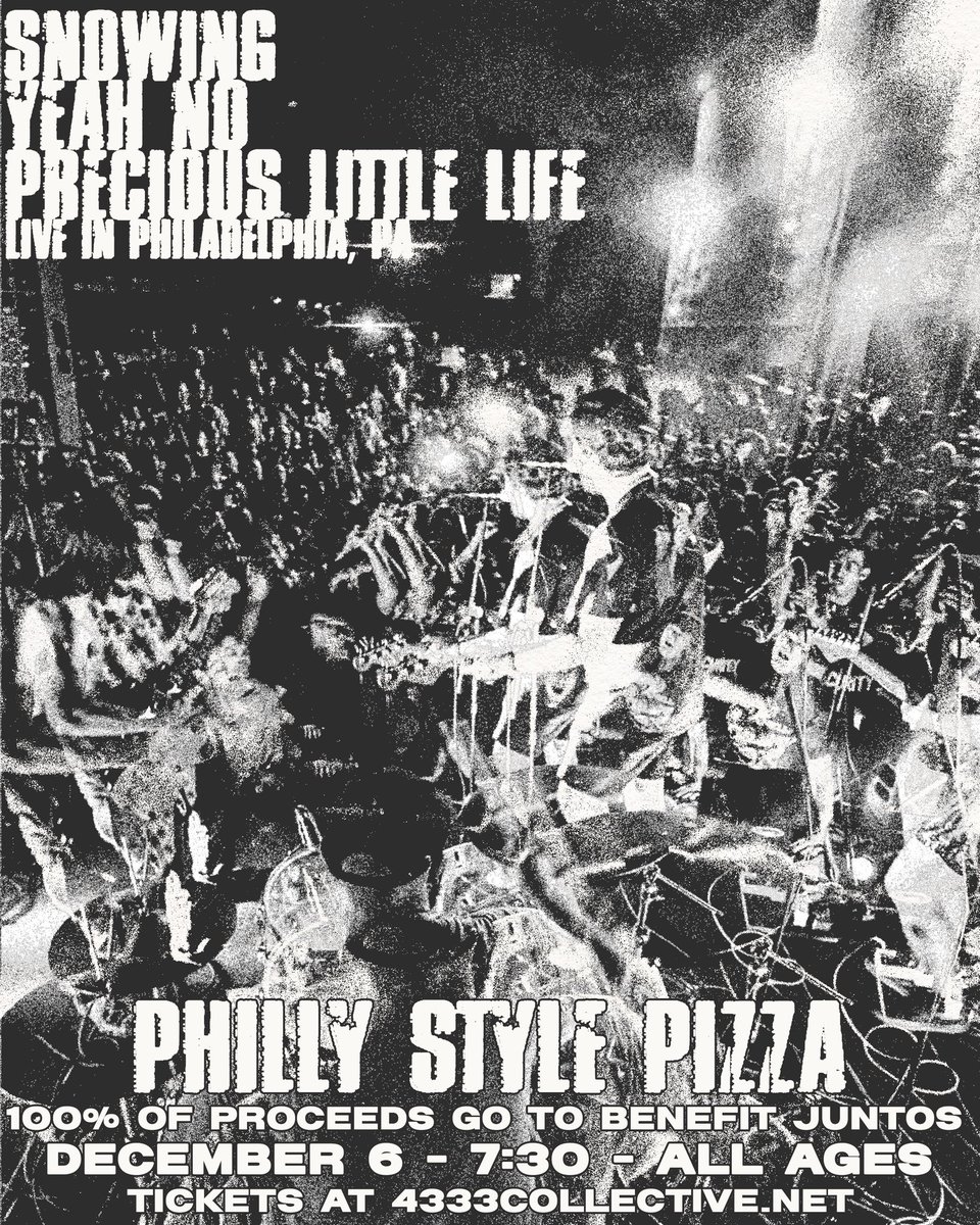 precious little everthing bagel w/ cream cheese tweet media