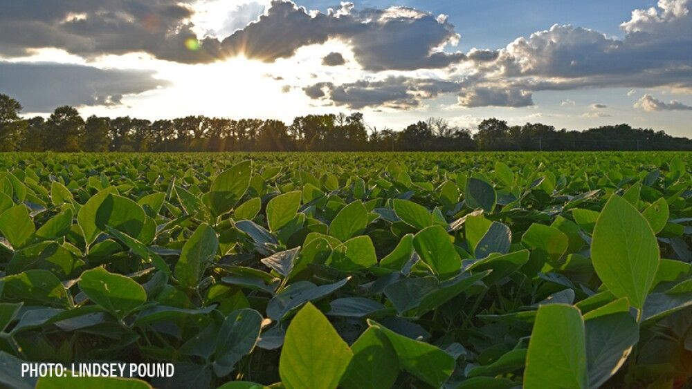 AgTech_Awards's tweet image. The Tech Advantage Fades: Can U.S. Agriculture Reclaim Its Innovation Edge?

thedailyscoop.com/news/retail-in…

#farm #technology #FarmTechnology #FT #news #trending