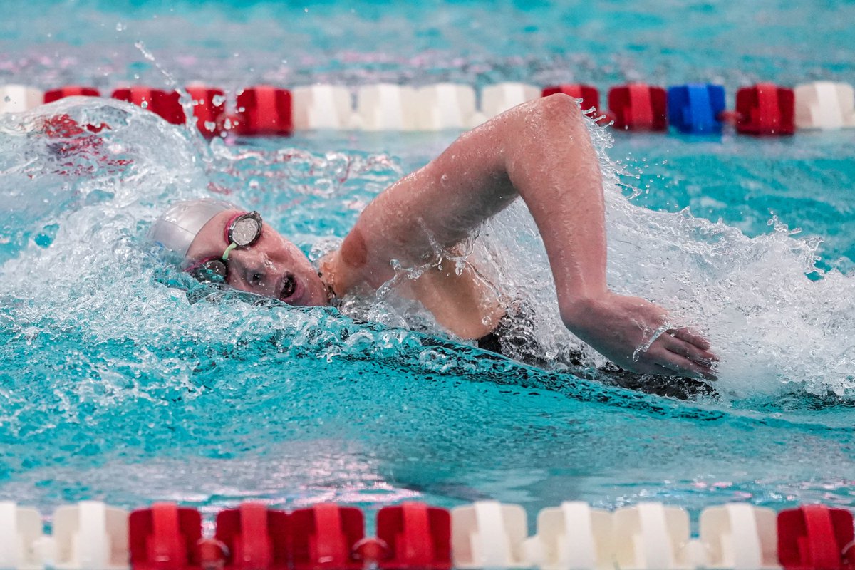 Indiana State Swimming & Diving tweet media