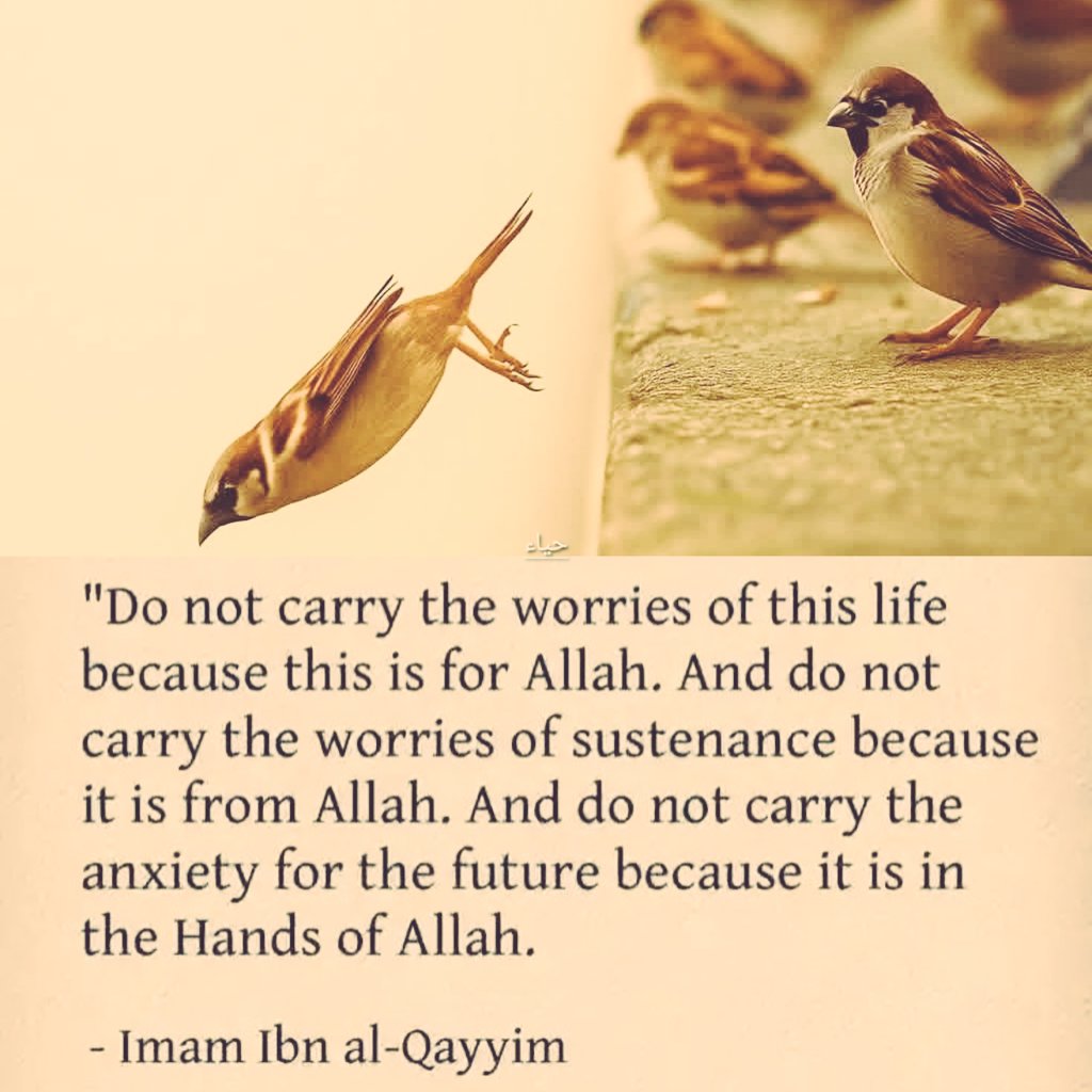 🇵🇸دُعَاء (@duareminder25) on Twitter photo 