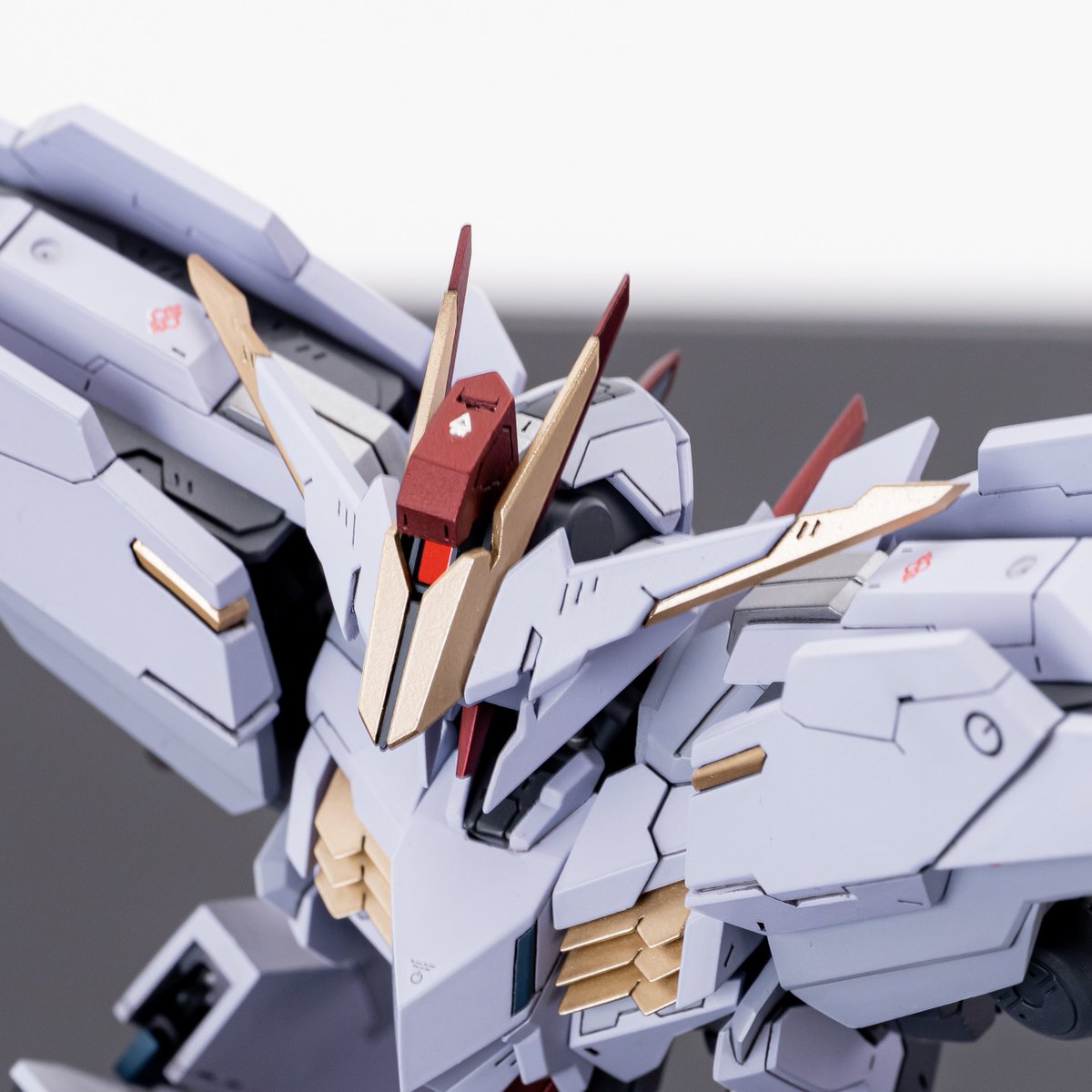 #マルコシアスクラッチ

マルコシアス頭部過程↓