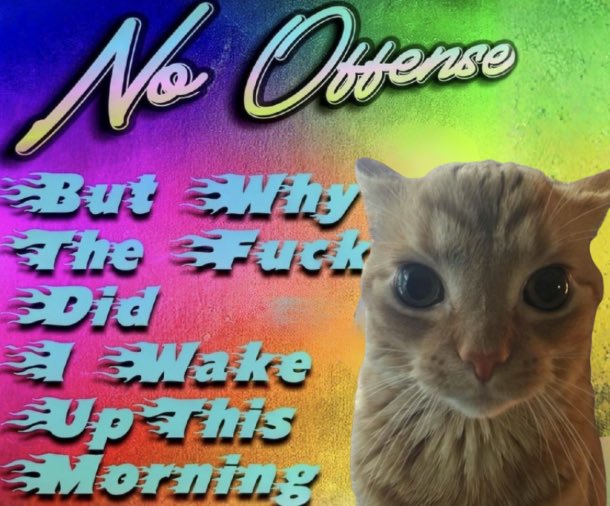 gakstercat's tweet image. 