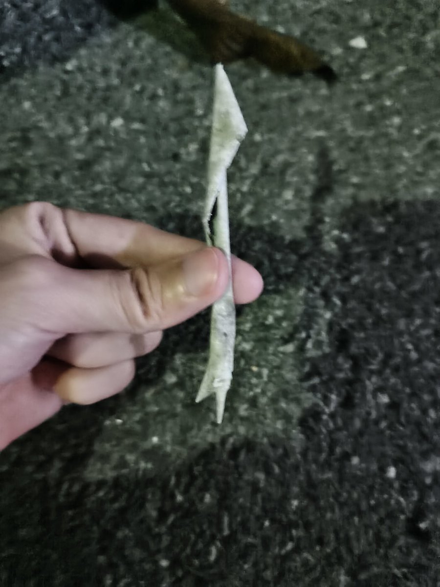 จะขับรถออกไปรับแฟนกลับบ้าน มองใต้ท้องรถละสะดุ้ง เชี่ย ตัวอะไรเข้าไปติดใต้เครื่องวะ!?
.
.
.
.
โว๊ะะะ!!