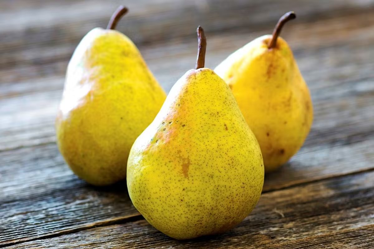 luctvt's tweet image. la haine envers ce fruit me semble toujours démesurée et injuste