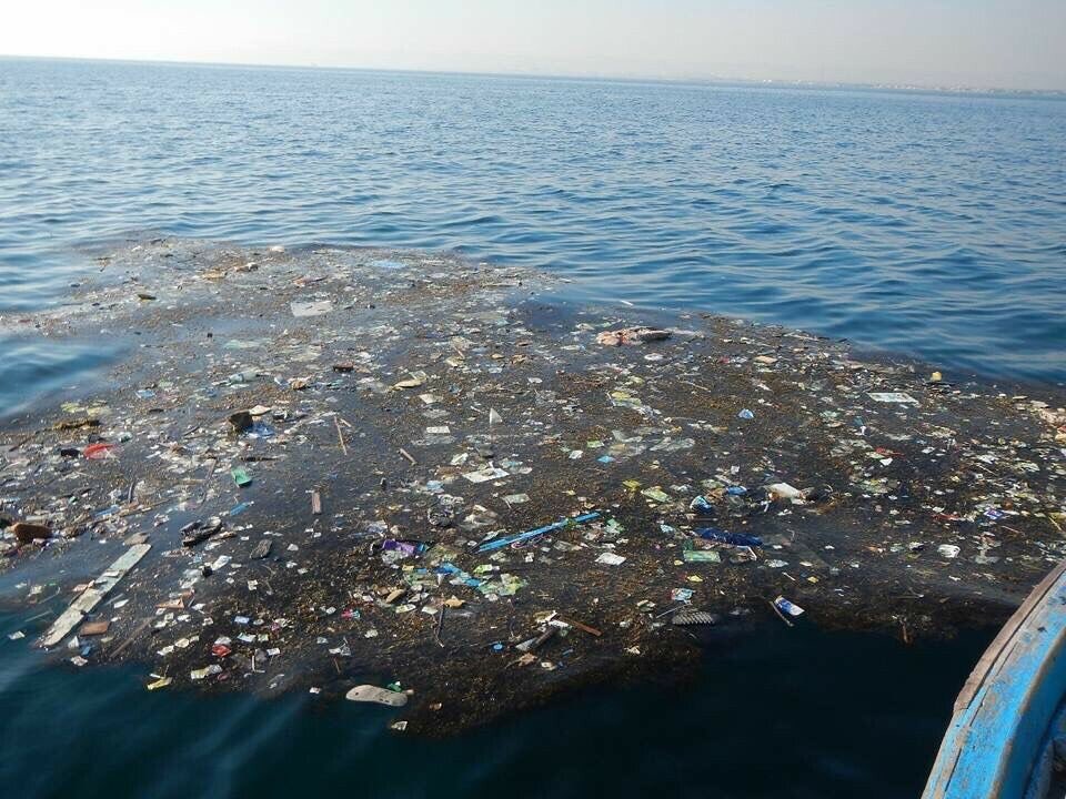 Zulfiqar Ahmed 🤔 tweet media