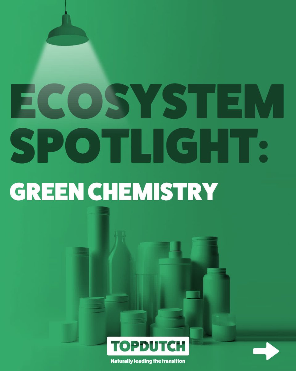 TopDutch tweet media