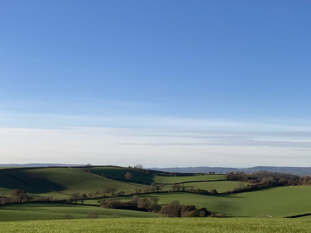 GailKir94323570's tweet image. Devon Country Life.  Joy to be alive on such a beautiful day.  Afternoon walk along the country lanes.  Looking across to the Moors. ☀️ ❄️