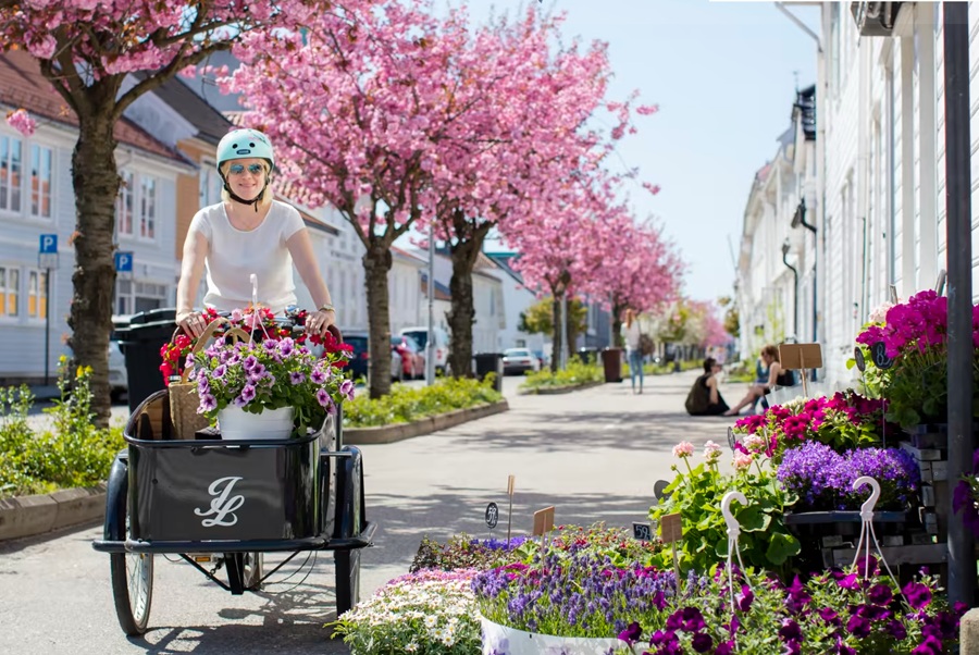 Canada vs Norway?

A perfect set to compare. See the stats and understand Norway's amazing success!

#Norway  #economy #jobs #GDP #employment #growth #strategy #Canada #happiness #Careers

gordcollins.com/economy/norweg…