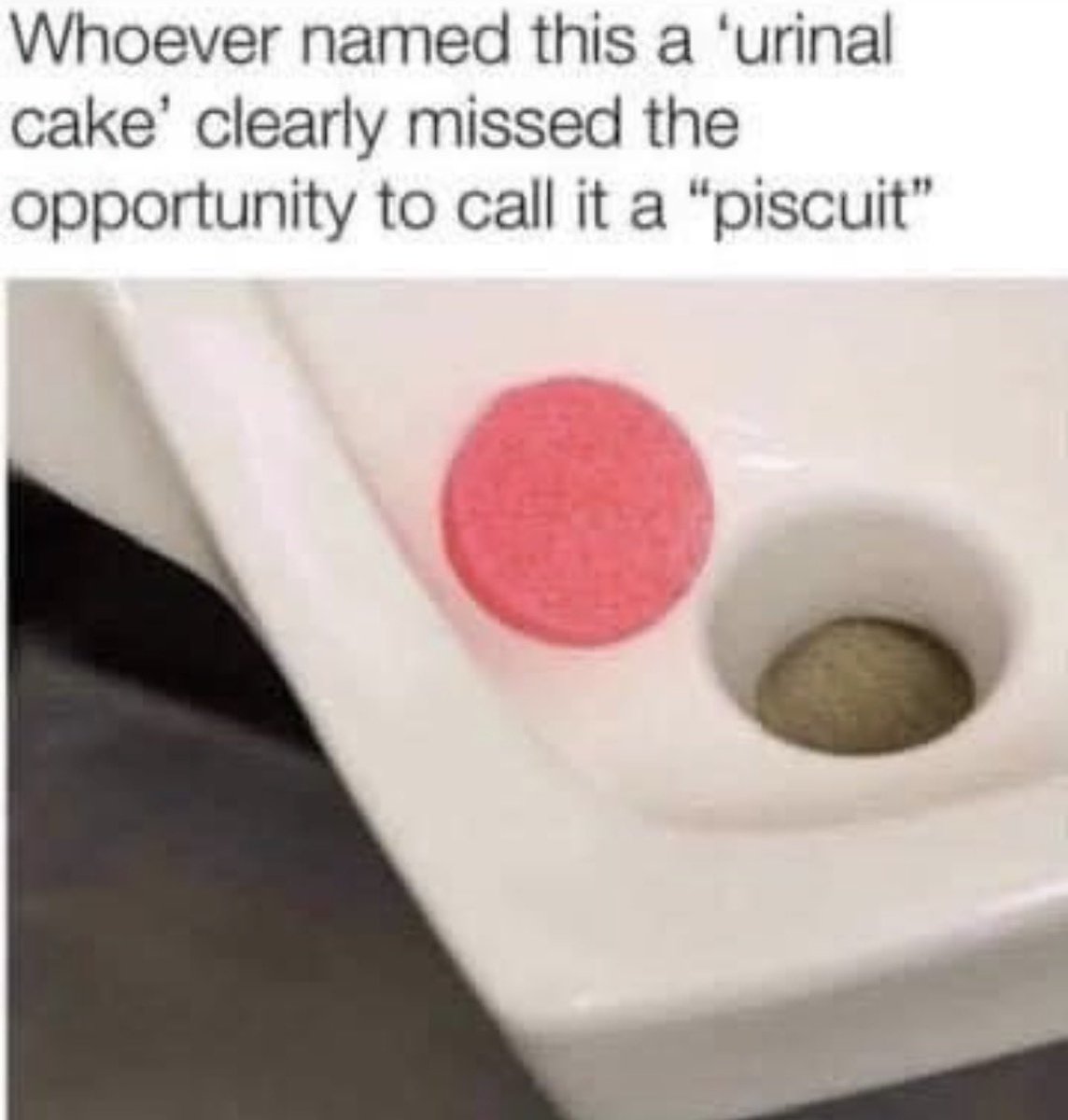 ✨Ms_Ashhole ✨ (@msashbash420) on Twitter photo 