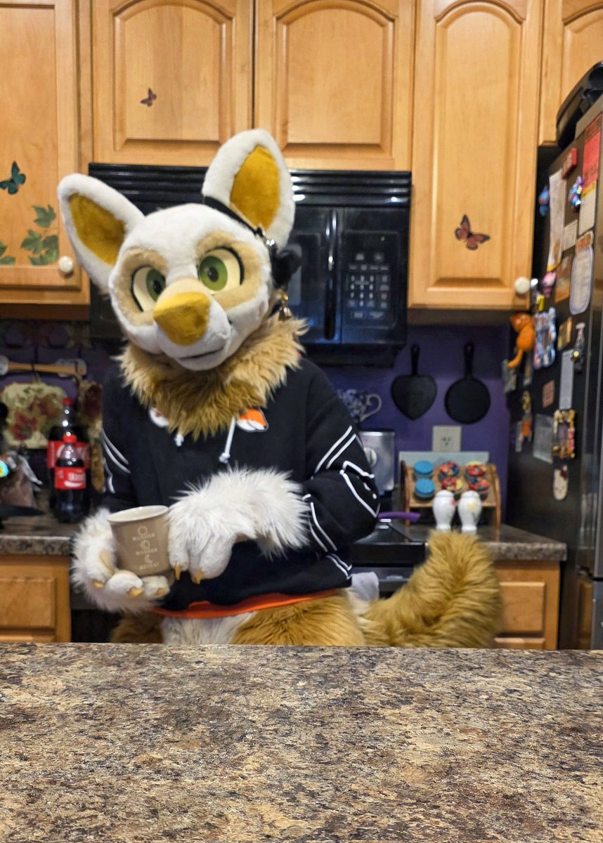 Fun fox fact this #fursuitfriday:
It's 2 weeks til mff. Better start packing, cleaning your suit, and preparing for fox mischief