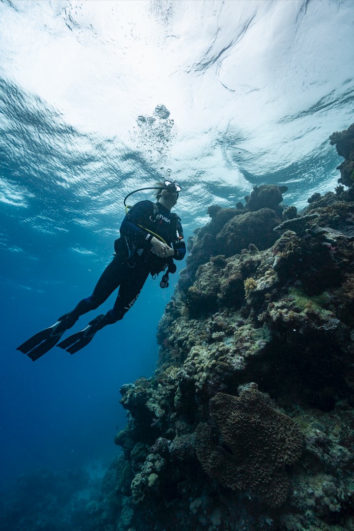 TUSADiving's tweet image. There&apos;s always more to explore in the ocean   🌊 🪸
Stay safe, stay informed, dive confident.
#TUSA #TUSADiving #ScubaDiving #FindYourOcean #ocean #scuba
