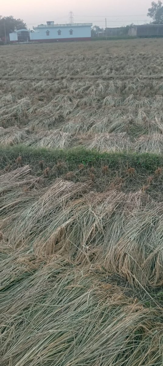 JhaAjitk's tweet image. किशनगंज में संघ के एक पदाधिकारी की 20 एकड़ से अधिक पैतृक संपत्ति पर कब्जा कर लिया गया।

वे कानूनी लड़ाई जीत गए, पर प्रशासन की हिम्मत नहीं की जमीन खाली करवा ले।

किशनगंज से पटना तक दौड़ लगाते लगाते वे थक चुके हैं पर कोई मदद करने वाला नहीं है।

हिंदुओं के ऐसे सैकड़ों दर्द है। लैंड…