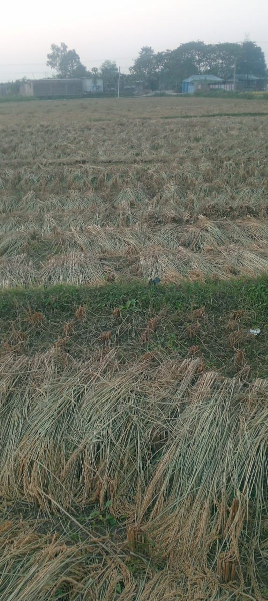 किशनगंज में संघ के एक पदाधिकारी की 20 एकड़ से अधिक पैतृक संपत्ति पर कब्जा कर लिया गया।

वे कानूनी लड़ाई जीत गए, पर प्रशासन की हिम्मत नहीं की जमीन खाली करवा ले।

किशनगंज से पटना तक दौड़ लगाते लगाते वे थक चुके हैं पर कोई मदद करने वाला नहीं है।

हिंदुओं के ऐसे सैकड़ों दर्द है। लैंड