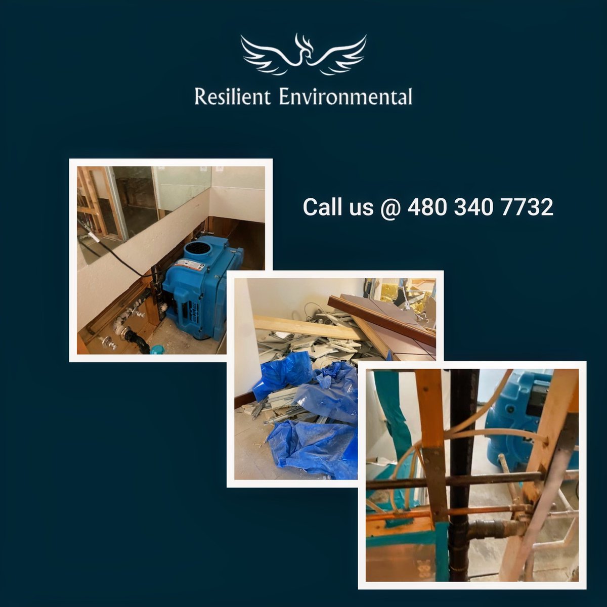 ResilientEnv's tweet image. resilientenvironmental.com
If you’re looking for environmental services in Phoenix, AZ, then look no further than Resilient Environmental, LLC. We have 13 years of industry experience.  #ResilientEnvironmental #EnvironmentalTesting #GreaterPhoenix