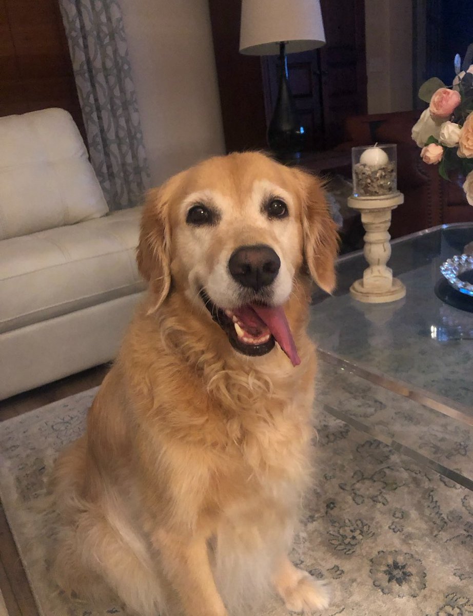 Tom Calabro tweet media