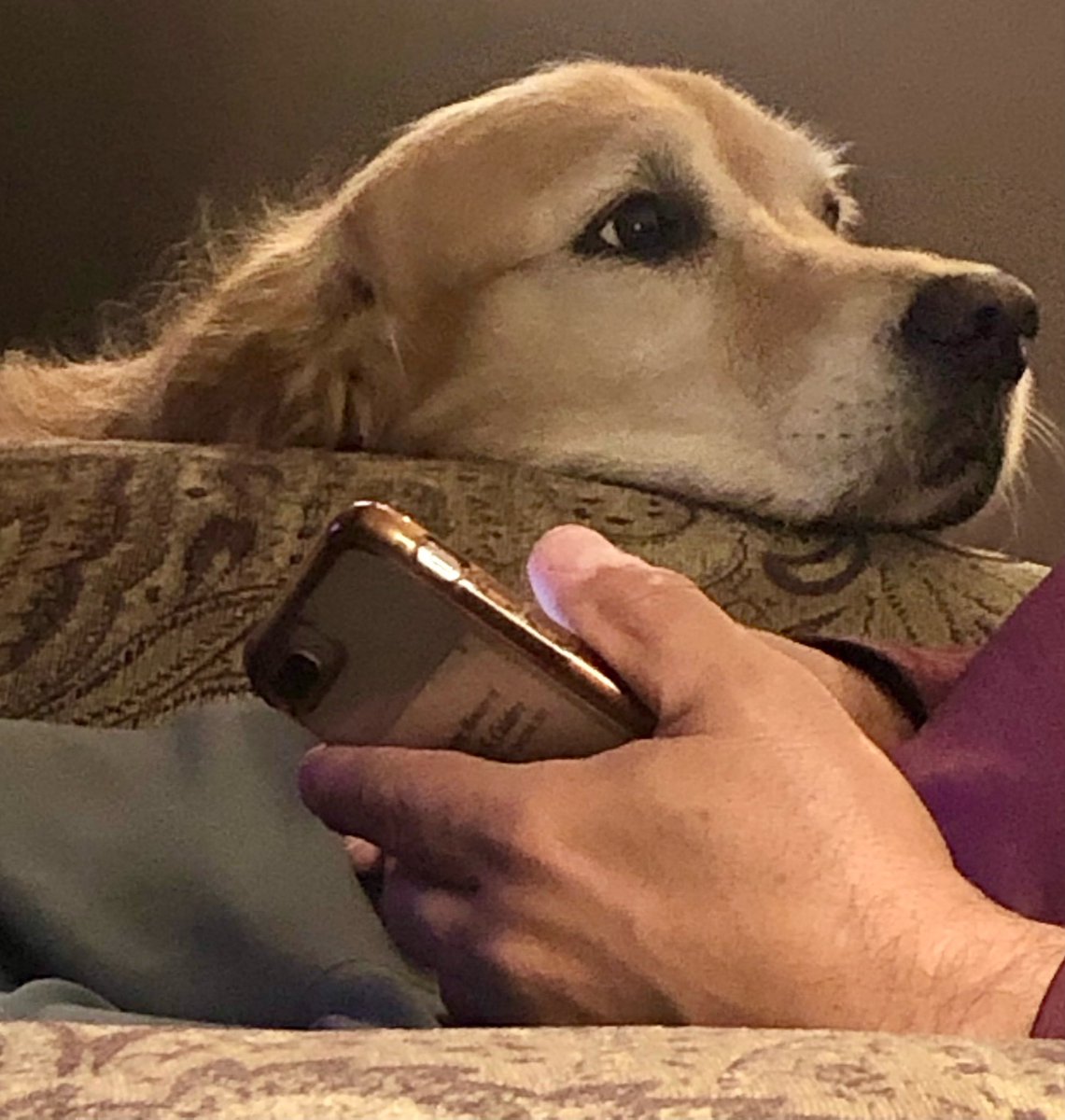 Tom Calabro tweet media