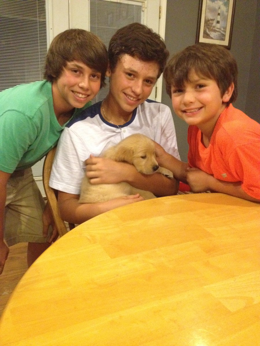 Tom Calabro tweet media