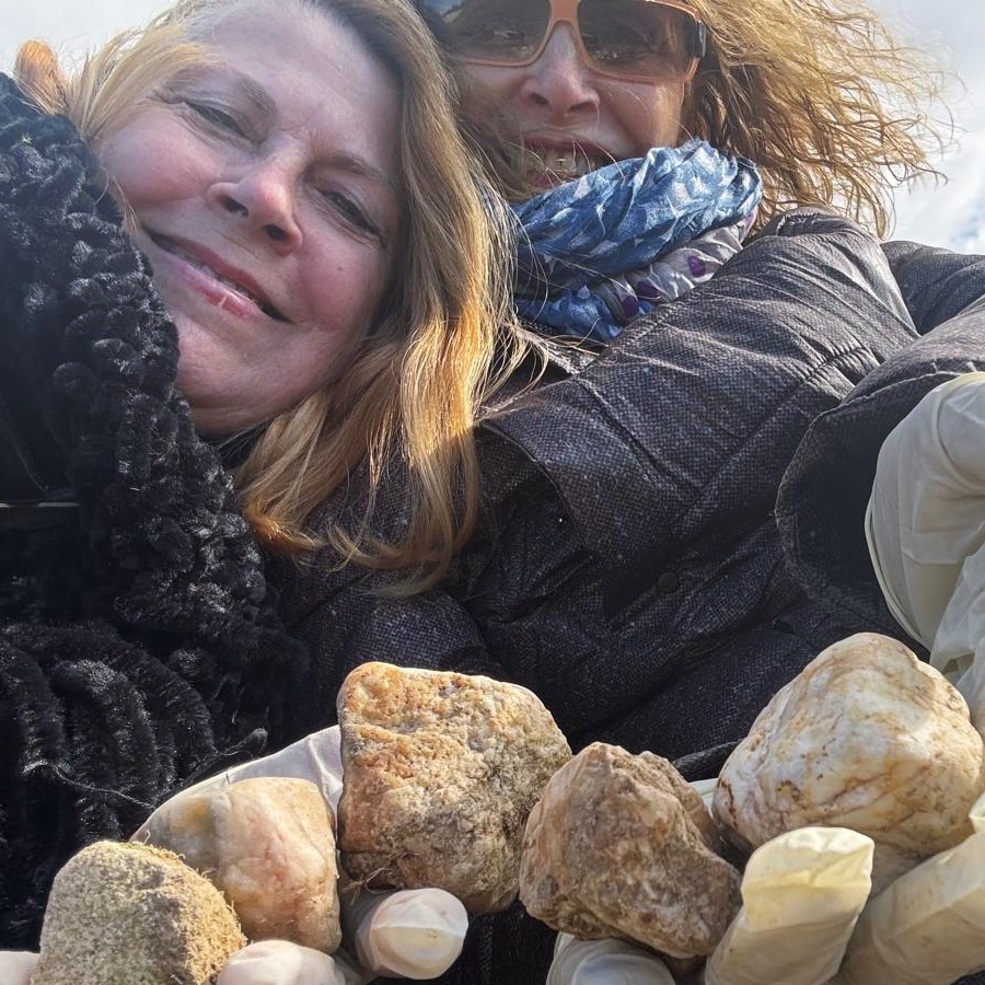 FESCIMED tweet media