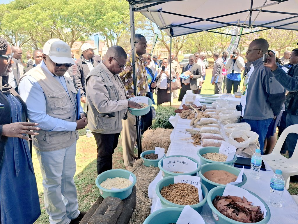 conrad mwanawashe tweet media