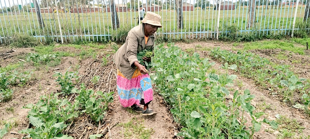 conrad mwanawashe tweet media