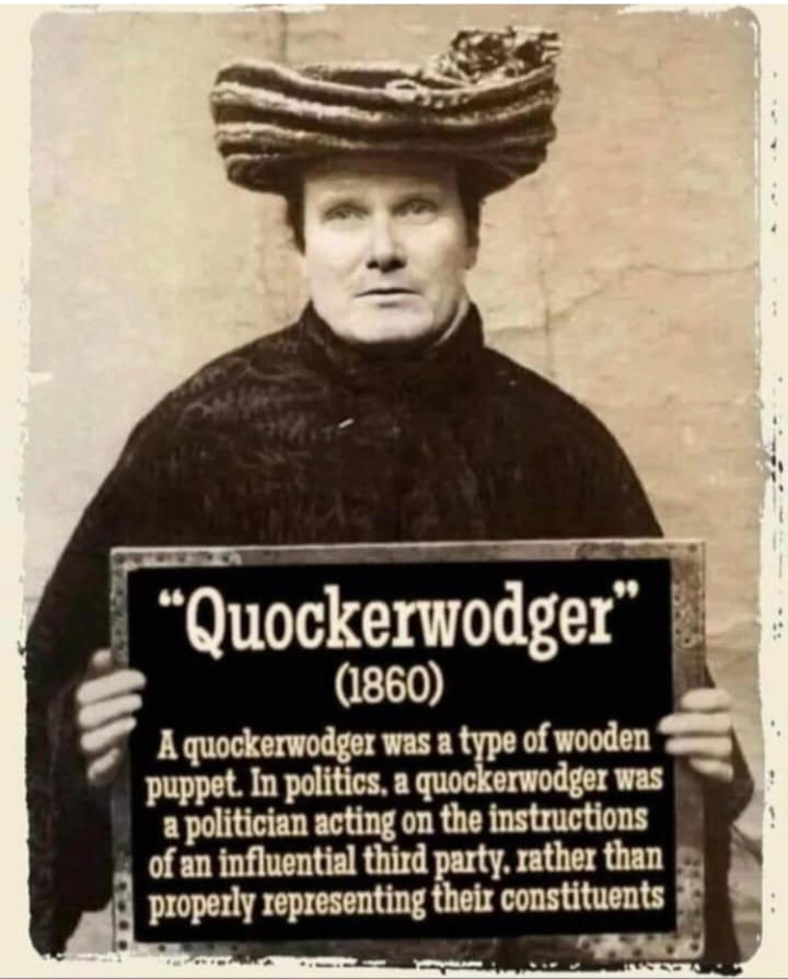 <a href="/susie_dent/">Susie Dent</a> I've waited patiently for this day ! 😋