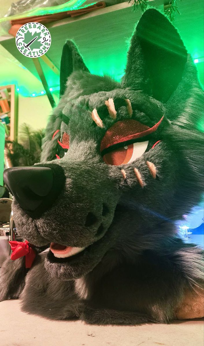 💕🎀Who is a gorgeous wolfie!?🎀💕

You could be!

This beauty of a wolf will be for sale at my #MFF2025 Booth along with some paws and a tail! 

Will they be going home with you?

#fursuit #fursuitmaker #furry #fursuitforsale