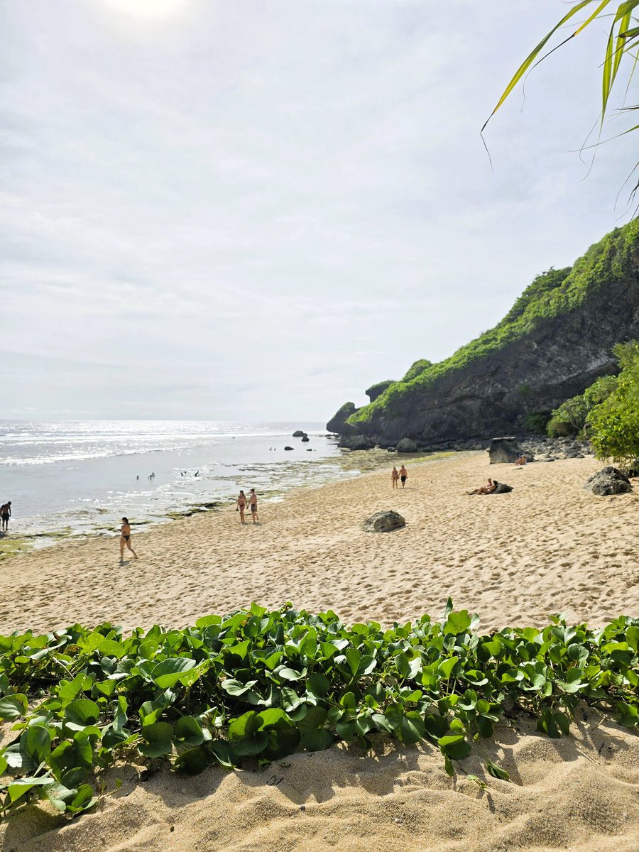 EdgeBitcoin's tweet image. For anyone keeping track, market has been down only since i arrived in Bali.

You best believe that we're gonna bounce the moment my plane lands in Europe next week