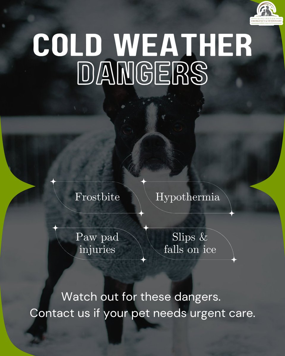 BEVS_VT's tweet image. Cold weather brings hidden risks for our furry friends. ❄️ Frostbite, hypothermia, and icy injuries can all become emergencies.
🚨 If you notice your pet struggling in the cold, don’t wait—contact us immediately for emergency care. 
#ColdWeatherPets #PetEmergency