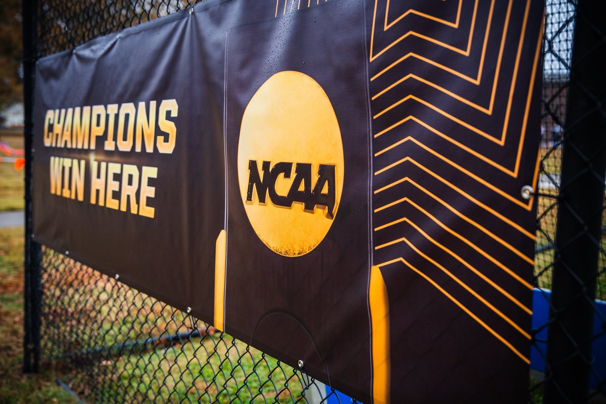 Harvard Field Hockey tweet media