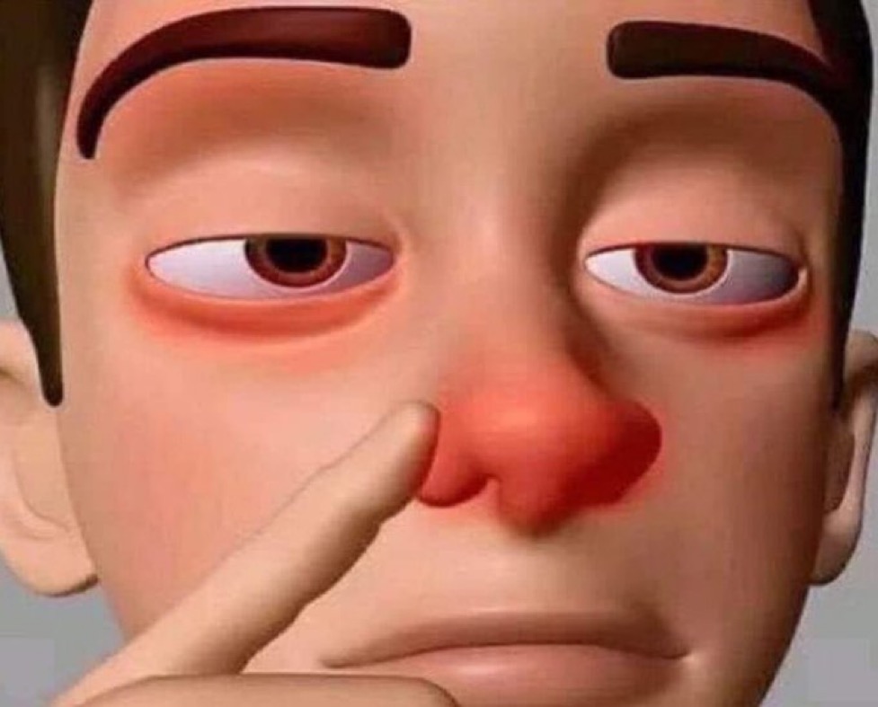 xotasagrada's tweet image. *qualquer mudança no clima* 

eu: