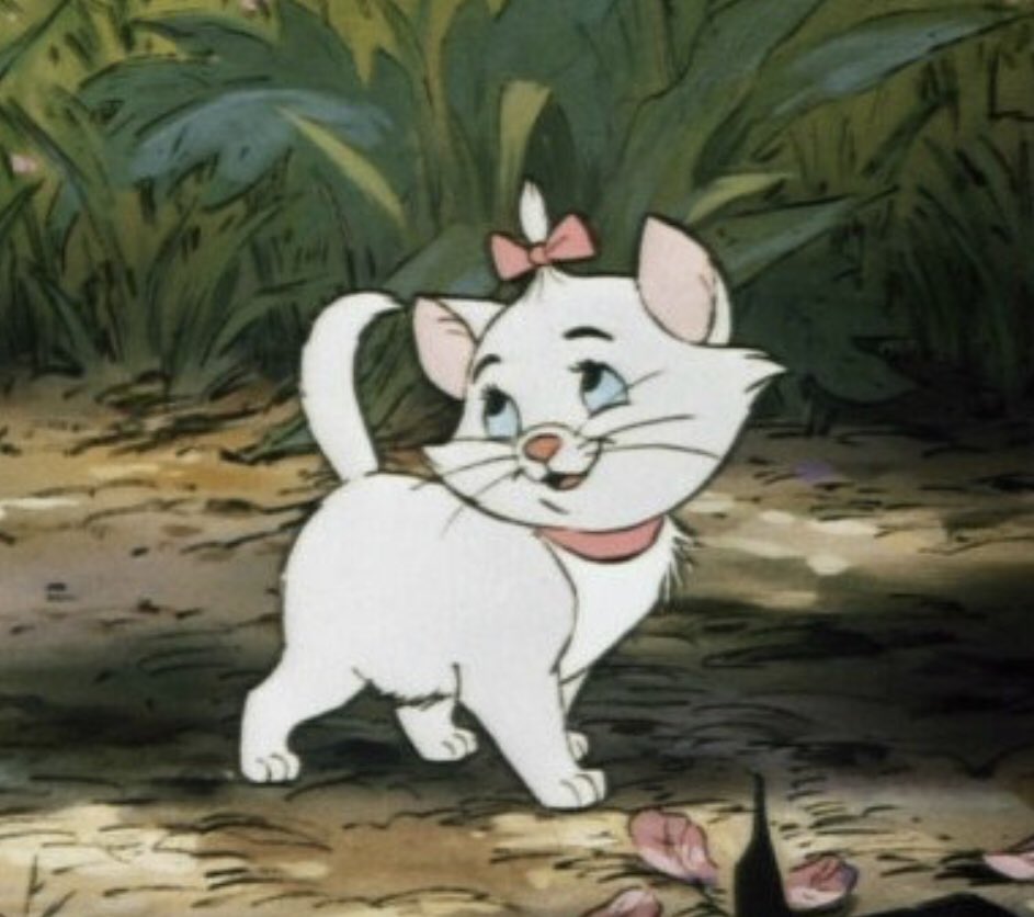 iwantitlast14's tweet image. หนูโอมกิตเปนลูกแมวเหมี้ยว ลูกแมวเมียว ลูกแมวเมี้ยว แมวมารีมากยูกกกกกก🐈🎀💗

⋆. 𐙚 @ohmkrit #ohmkrit  ˚